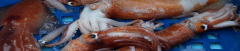 image878.png