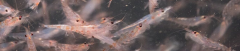 image928.png